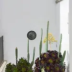 La Dimora Dei Pumi Verdi 公寓 曼杜里亚