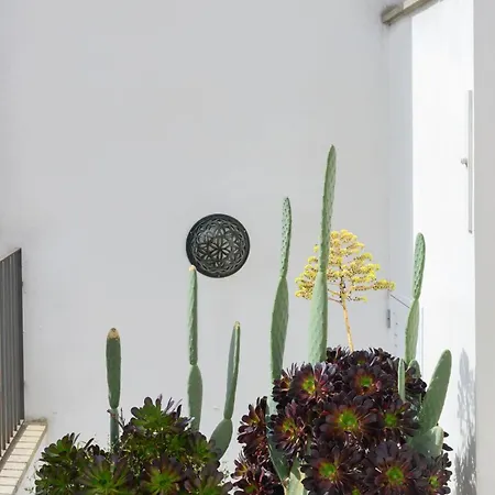 La Dimora Dei Pumi Verdi דירה מנדוריה